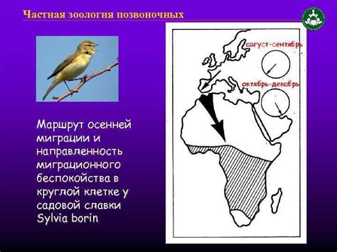  Магниторецепция и навигация животных 