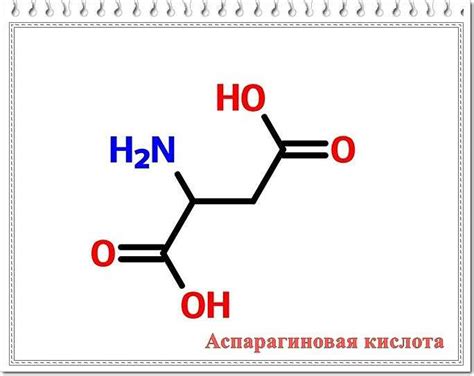  Полезные свойства аспарагиновой кислоты 