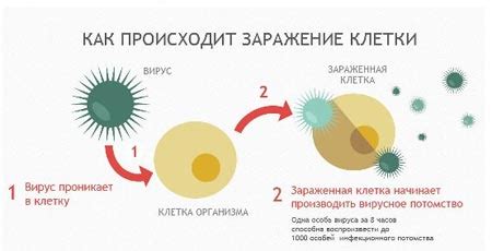  Причины возникновения вируса 