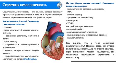  Причины скапливания жидкости 