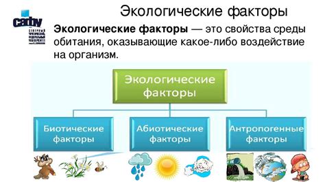  Раздражающие факторы среды 