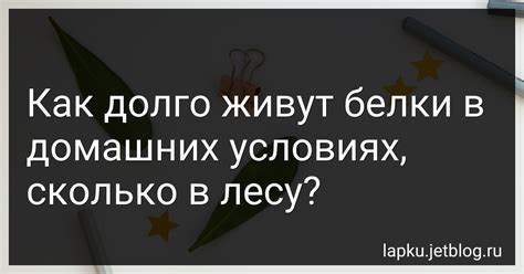  Хитрые трюки: необычные методы продления жизни растениям в домашних условиях 