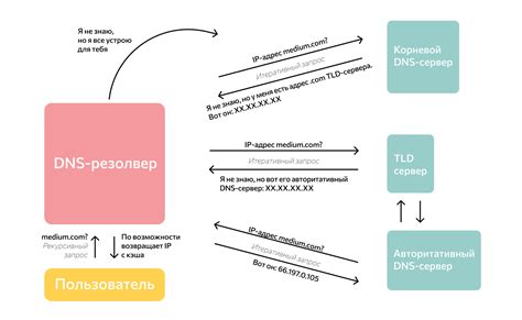 DNS-запросы и серверы