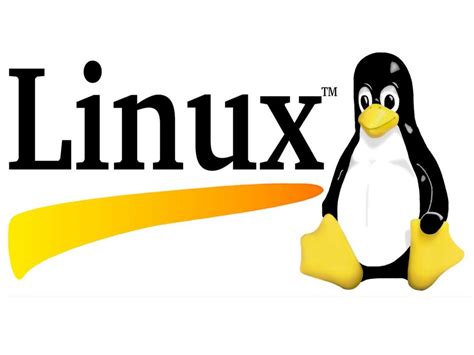 Linux – самая популярная операционная система