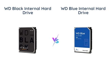 Wd black vs wd blue - в чем отличия?