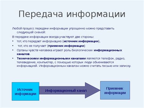 tp by: какую информацию он передает?